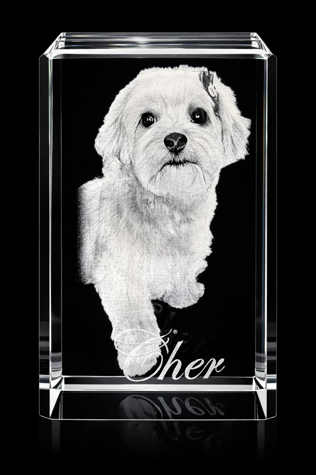 PawPrint Crystal - Small