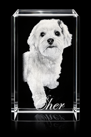 PawPrint Crystal - Small