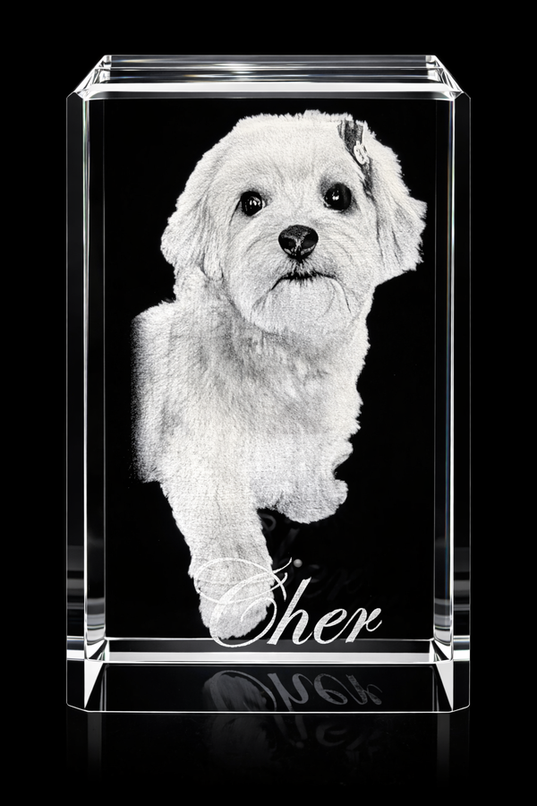 PawPrint Crystal - Small