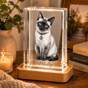 Personalized 3D Photo Crystal